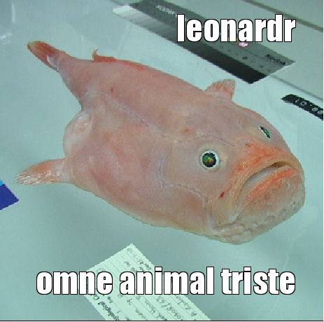 Omne Animal Triste front cover